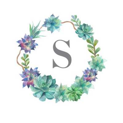 Alphabet S